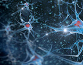 腺病毒包装
